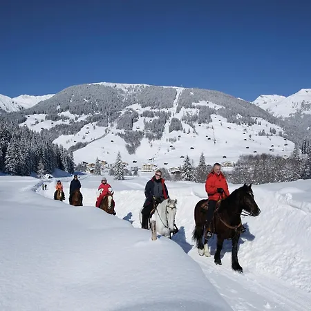 Cozy Near Area In * Mayrhofen