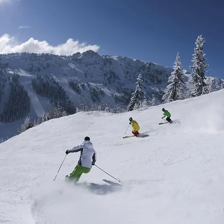 Cozy Near Area In Apartamento Mayrhofen